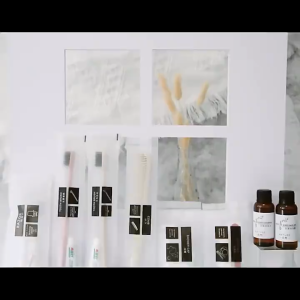 SCCS~Separately Packaged Pack Disposable Toothbrush Travel Hotel Supplies with Toothpaste