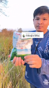 ซื้อ 2 แถม 2 ENOM สารกำจัดกอไผ่ 500g เม็ด ไม่ต้องเติมน้ำ สามารถฆ่าต้นไม้ใหญ่ได้อย่างมีประสิทธิภาพ ไม่ทำลายดิน(ยาฆ่าต้นไม้ใหญ ยาฆ่าตอต้นไม้ ผงกำจัดต้นไม้ ผงกำจัดต้นไผ่ ยากำจัดต้น)