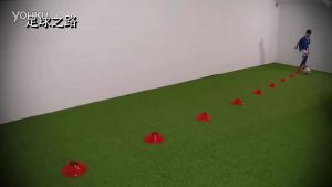 50 ชิ้น กรวยซ้อมบอล ฟรี (ถุงตาข่าย+ เสาเก็ลกรวย) กรวยจานฝึกซ้อม บูรณาคอลู่ฟูล ใช้หลากหลายประเภท