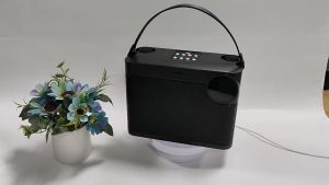 portable wireless microphone Bluetooth audio outdoor home square dance computer desktop K song speaker