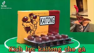 Kaitong Viên Nuôi Kích Lực Cho Gà Đá.Viên Sâm Thái Lan Nuôi Tăng Bo Đá - Bo Lớn Như Cây Đập Nuôi Gà 2 Tuần Trước Đábổ sung dinh dưỡng tăng cường cơ bắp trước đá .