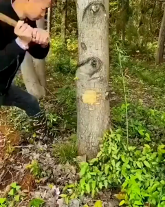 Hand Saws For Tree Trimming Outdoor Portable Chicken Tail Saw Garden Tree Branch Mini Cutting tool