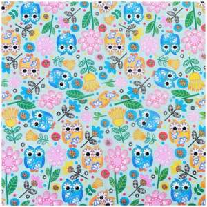 Paper Party Napkin - Colour Cartoon Animal Owl Flower Print (NSP033)