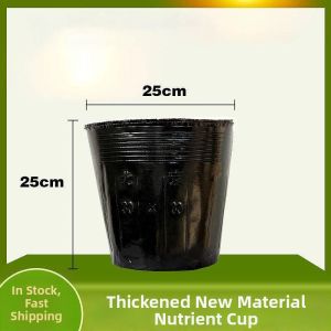 Besee | Nutritious Disposable Agricultural Seedling Pot