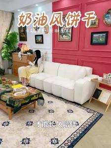High-quality Velvet French Style Straight-line Sofa For Small Living Rooms