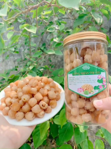 Combo 2 Kg Long Nhãn Ôm Sen Không Đường Ăn Vặt Trực Tiếp
