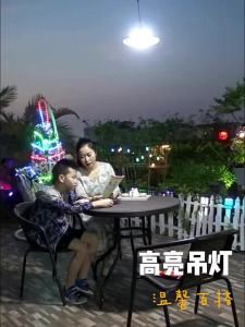 intelamp | Solar Waterproof Bright LED Outdoor Lamp