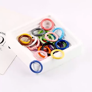 {SG Local} 20mm Colorful Painted Spring Buckle Keychain DIY Phone Chain Backpack ETC