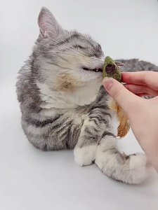 Bóng Cỏ Mèo Lông Vũ Cho Mèo Cỏ Mèo Khô Đồ Chơi Hỗ Trợ Hệ Tiêu Hóa Cho Thú Cưng - iPet Shop