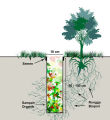 Pipa Biopori +Tutup 4 Inch Tinggi 70 Cm. 