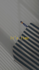 Drawstring Pouch BagHandbag Make Up Pouch Lunch bag (MEDIUM)