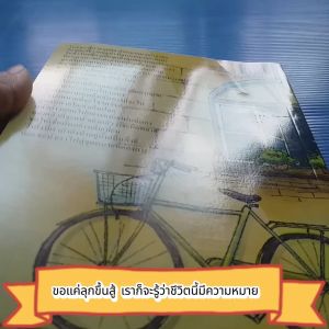 ขอแค่ลุกขึ้นสู้ เราก็จะรู้ว่าชีวิตนี้มีความหมาย ผู้เขียน Nutcha