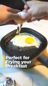 Dreepor 600W Multifunctional Electric Grill Pan Electric Frying Cooker Easy To Clean Non-Stick Pan