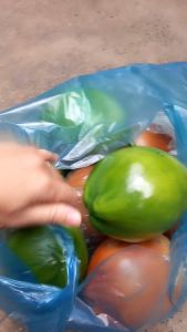 1 Trái dừa size 20cm giả - trái cây giả - TUYET XUAN SHOP