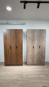 🔥2 Door & 3 Door Wardrobe / Almari baju 3 pintu / Almari Baju 2 pintu /Almari Baju Murah / Almari Murah / 衣橱