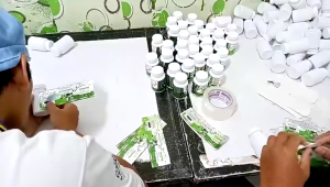 NONI MORINDA Obat Darah Tinggi yang Ampuh Hipertensi Atasi Asam Urat Kolestrol Darah Tinggi Original