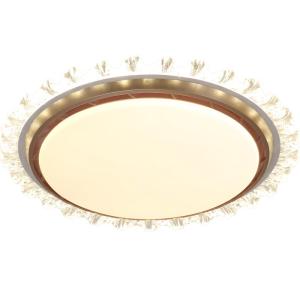 Creative Luxury Leafless LED Ceiling Fan Light