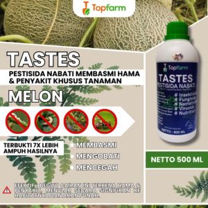 Obat Khusus Tanaman Melon: Solusi Terbaik untuk Pertumbuhan & Perlindungan