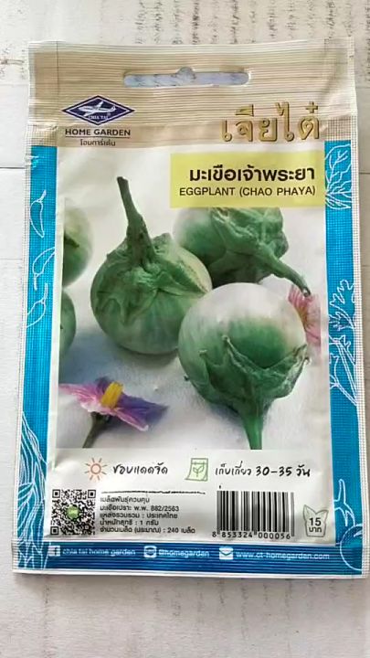 5 อันดับ เมล็ดพันธุ์มะเขือ ยี่ห้อไหนดี? อัปเดตปี 2025 สำหรับคนรักสวนครัว