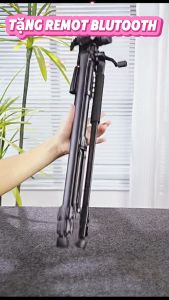 Gậy Tripod 3 chân 3366 Kèm giá đỡ cho điện thoại Chân siêu chắc chắncao cấp tương thích với nhiều dòng máy