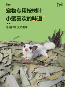 Eucalyptus Leaf And Branches for Bettas Natural Odor Eliminator Tooth Grinding Pet Toy Dry Pad Material Safe for Small Pets