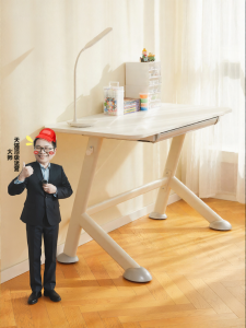 BOJOJAN | Primary and Secondary School Student Study Table