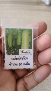 50 เมล็ด แฟง เพชรมณี แบ่งขาย ฟักเขียว เมล็ดฟักเขียว เมล็ดฟัก ฟัก เมล็ดแฟง