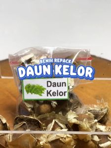 Benih Daun Kelor Unggulan berkualitas biji pohon tanaman bio moringa herbal hydroponik hidroponik sayuran sayur