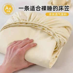 A-Class Bed Canopy Three-Piece Set 2024 New Universal Four Seasons Mattress Protector Anti-Slip Full Cover Bed Sheet Dormitory