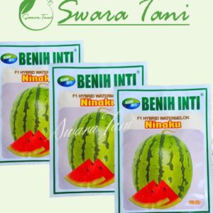 Benih Semangka Lorek NINAKU Merah Berbiji Original 20 Gram