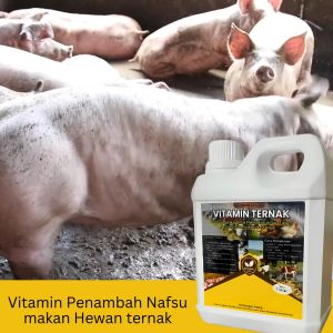 Vitamin penggemuk Babi paling ampuh Booster Babi cepat besar gemuk Sehat Vitamin Babi cepat germuk