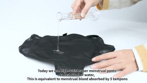 Leakproof Menstrual Panty: A Comfortable & Eco-Friendly Solution