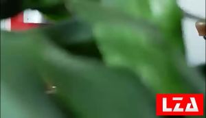 เครื่องบดเมล็ดกาแฟ LZA MD-16 รุ่น CNC420 ปรับความละเอียด และสวยงาม บรรจุความปลอดภัย 1ปี