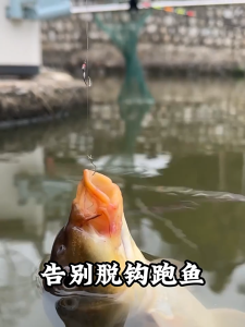 BUSH 10pcs เหล็กกล้าคาร์บอนสูง เบ็ดตกปลาแบบเกี่ยว ป้องกันการลื่น ลายเกล็ดปลา อุปกรณ์ตกปลาแท็กเกิล สร้างสรรค์และสร้างสรรค์ คมคมหนาม เบ็ดตกปลาพลิกอัตโนมัติ ปลาคาร์ฟ