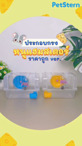 FOLOPETS กรงแฮมเตอร์ กรงหนู กรงสัตว์เลี้ยง กรงหนูตะเภา 2 ชั้น แบบพกพา พร้อมอุปกรณ์ กรงเม่น Hamster Cage