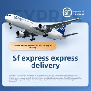 「China Plug」HELLOLEIBOO | Wireless Handheld Pet Hair Vacuum Cleaner Automatic Home Bedside Cat Hair Suction Small Size Portable Dust Collector