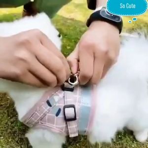Soft Mesh Padded Dog Harness With Leash Reflective Vest Leash For Dog Cat harness Small Dog harness