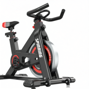 AB | Silent Indoor Exercise Bike
