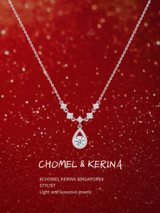 Pure Silver 999 Moissanite Necklace Womens Luxury Unique High-End Birthday Gift for Best Friends Sweet Style Fresh out