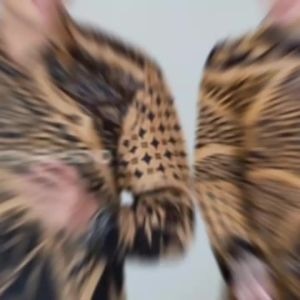 COUPLE DOBBY PANDITA – Prabuseno Batik Couple Hem Baju Kemeja Batik Pria Wanita Lengan Panjang Reguler Prabuseno Cewek Cowok Sarimbit Modern Premium Adem dan Nyaman