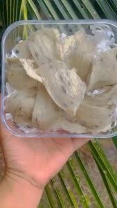 Tổ Yến thô nguyên chất nhà nuôi (10gr dùng thử tặng kèm táo đỏ đường phèn)