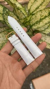 Dây đồng hồ da cá sấu màu trắng Alligator Mỹ