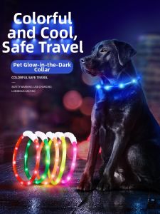 7o | Rechargeable Light-up Dog Collar