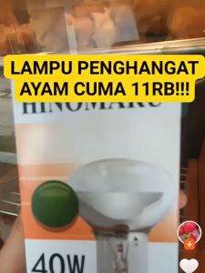 BestPriceShop Lampu Filament Bulb Pijar Spot Lampu Pemanas Lampu Penghangat Ayam 40W 60W Pioline