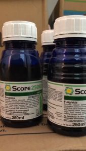 Paket Hemat Fungisida Score & Insektisida Pegasus 80ml Obat Tanaman