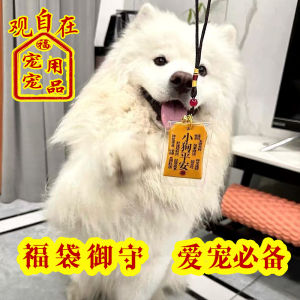 Pet Health Lucky Charm Bag for Dogs And Cats Safe Guard Fragrance Pouch Birthday Gift Decoration Hanging Tag General Purpose