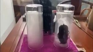 ♻️กรองแบคทีเรียไวรัส♻️ เครื่องฟอกอากาศสร้อยคอสำหรับไวรัส 150 ล้านไอออนลบ 750mAh แบตเตอรี่ได้60ชม. การทำหมัน ขจัด pm2.5 ขจัดบุหรี่มือสอง มินิเครื่องฟอกอากาศส่วนบุคคลไอออนลบ ป้องกันไวรัสสร้อยคอมินิแบบพกพา