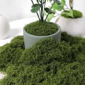 30/50/100g Artificial Moss Grass Preserved Potted Plants Gardening Micro Landscape Decorations Fake Green Plants Coco Coir Garden Terrariums DIY Arts Decoration Simulation Green Moss