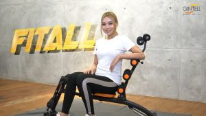 GINTELL FitAll 6-in-1 Abs Machine