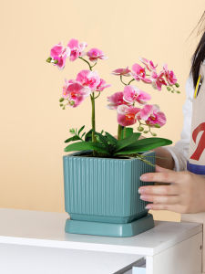 Square Ceramic Flower Pot with Tray Factory Direct Sales Minimalist Ins Style Creative Phalaenopsis Sansevieria Trifasciata Prain Green Plant Pot